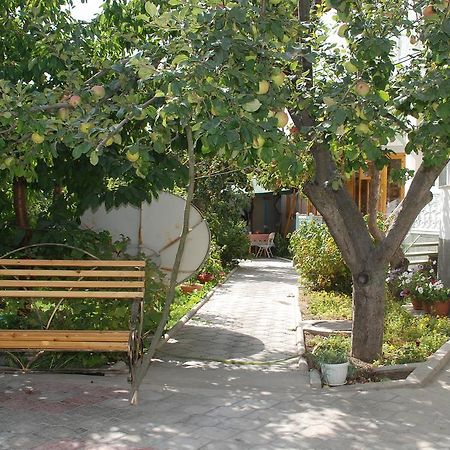 מלון צ'ולפון-אטא " У Татьяны" מראה חיצוני תמונה